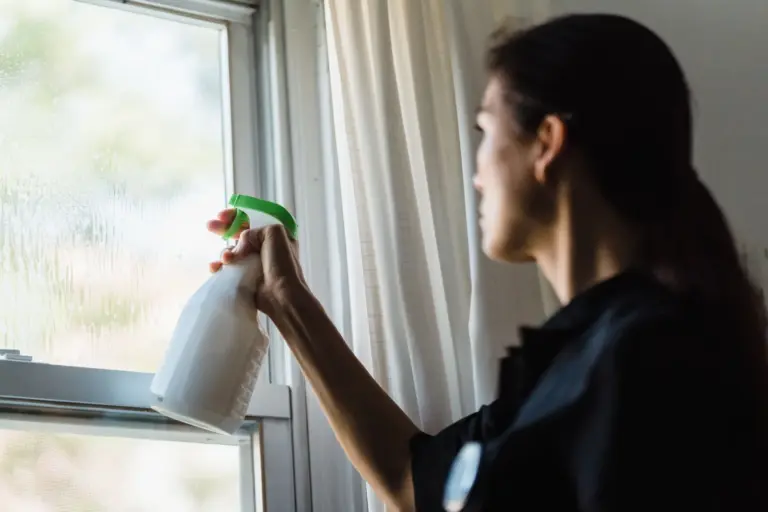 Woman spraying glass cleaner on a window